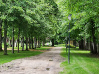 Parc Municipal Gravelin Travel Forum Reviews