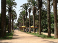 Parc Murdoch Travel Forum Reviews