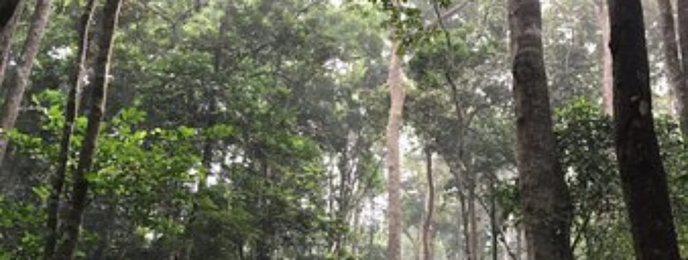 Parc National du Banco Travel Forum Reviews