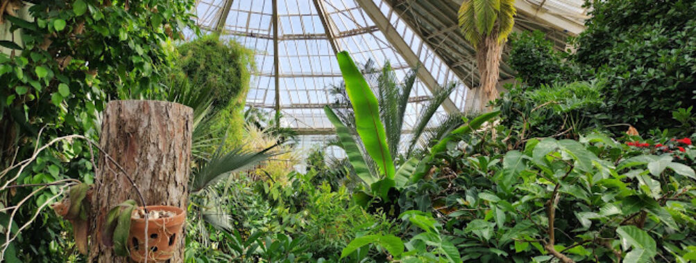 Parc Phœnix Travel Forum Reviews
