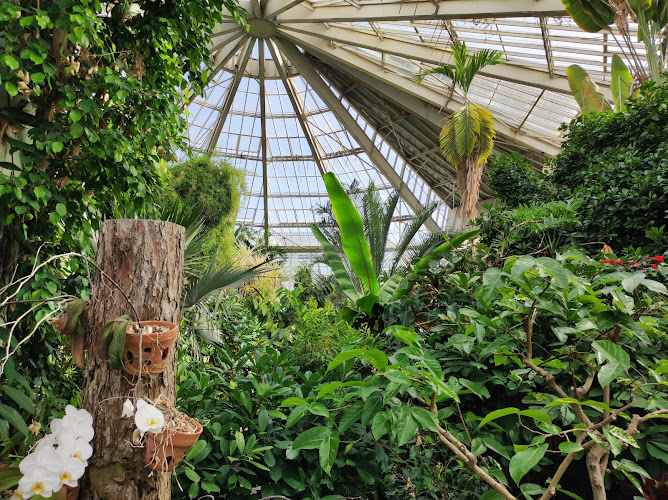 Parc Phœnix