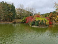 Parc Urbain Anne de Kiev Travel Forum Reviews