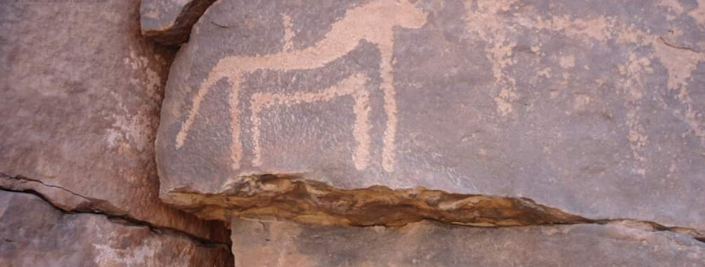 Parc culturel national de Tindouf Travel Forum Reviews