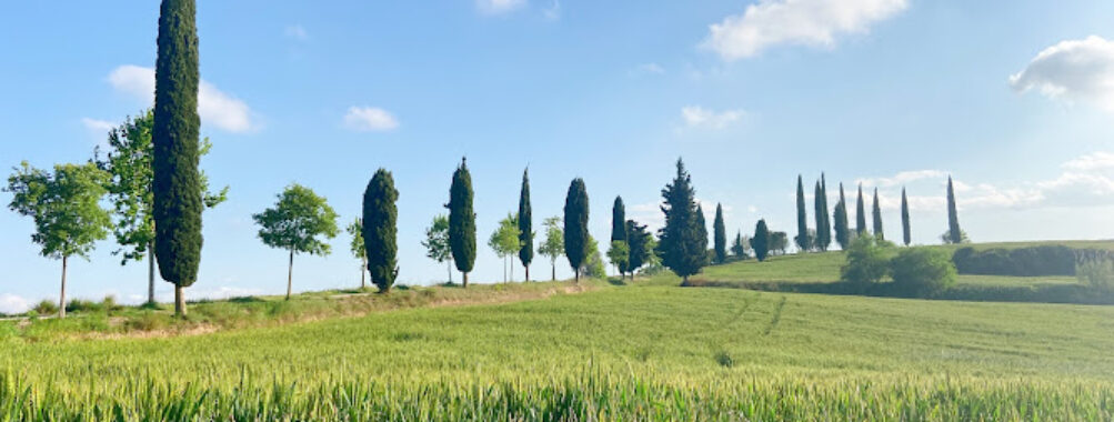 Parc de Ca n’Oriol Travel Forum Reviews
