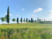Parc de Ca n’Oriol Travel Forum Reviews