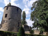 Parc de l'Abbaye Travel Forum Reviews
