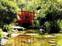 Parc de l'Amitié Travel Forum Reviews