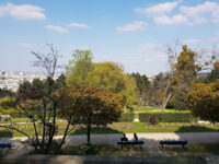 Parc de la Butte-du-Chapeau-Rouge Travel Forum Reviews
