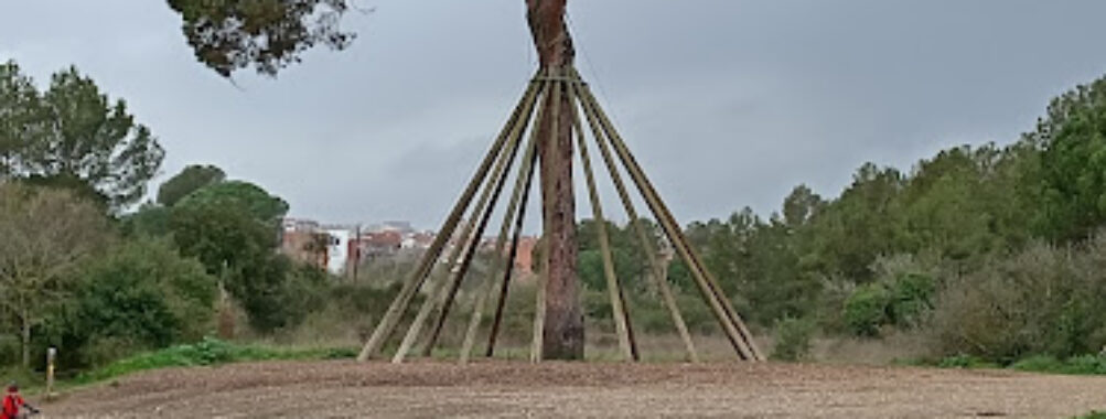 Parc de la Pollancreda Travel Forum Reviews