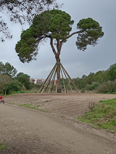 Parc de la Pollancreda