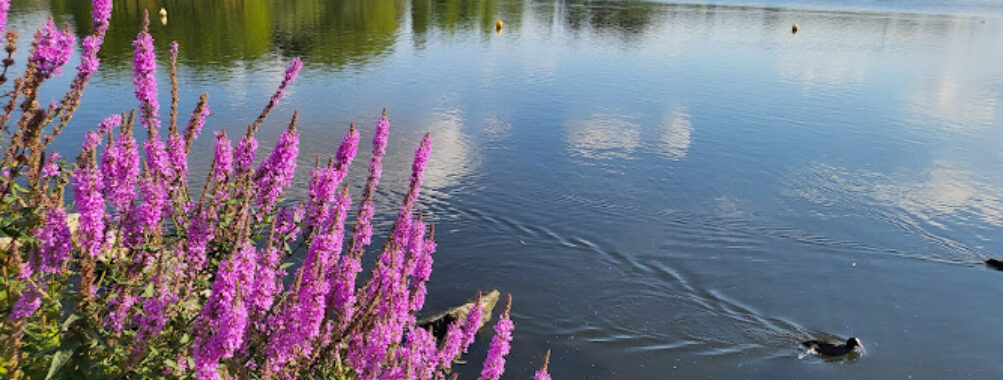 Parc de loisirs Jacques Vernier Travel Forum Reviews