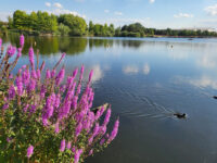 Parc de loisirs Jacques Vernier Travel Forum Reviews