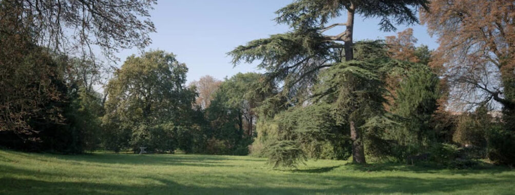 Parc des Artistes Travel Forum Reviews