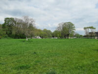 Parc des Oiseaux Travel Forum Reviews