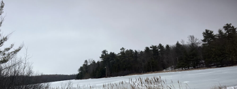 Parc du Lac-Beauchamp Travel Forum Reviews