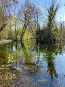 Parc du Séminaire