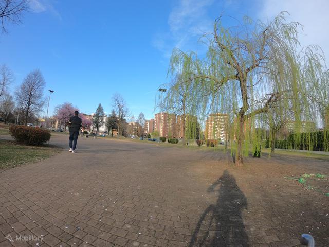 Parchetto Certosa