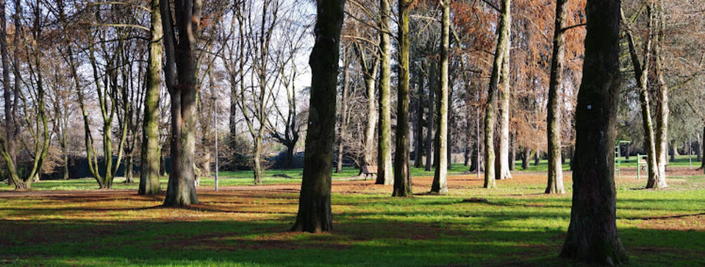 Parco Nord di San Giuliano Milanese Travel Forum Reviews