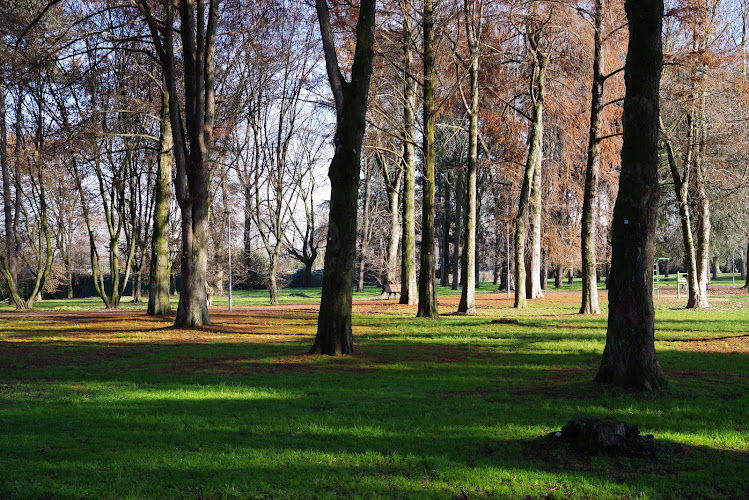 Parco Nord di San Giuliano Milanese