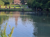 Parco Sempione Travel Forum Reviews
