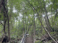 Parco Spina Verde - Scala del Paradiso Travel Forum Reviews