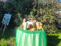 Parco Sulle Orme Dell'uomo Travel Forum Reviews