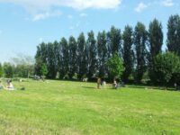 Parco dei Germani Travel Forum Reviews