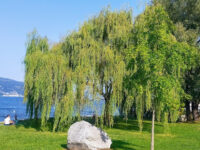 Parco del Golfo della Quassa Travel Forum Reviews