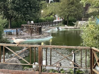 Parco della Biodiversità Mediterranea Michele Traversa Travel Forum Reviews