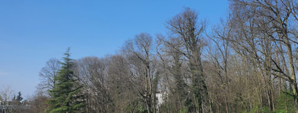 Parco della Chiusa (Parco Talon) Travel Forum Reviews