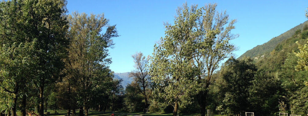 Parco della Golena Travel Forum Reviews