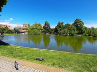 Parco della Meridiana Travel Forum Reviews