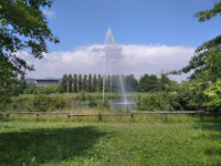 Parco della Trucca Travel Forum Reviews