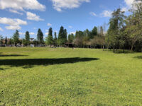 Parco delle Acque Travel Forum Reviews