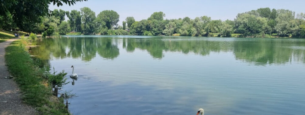 Parco delle Cave Travel Forum Reviews