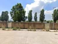 Parco lineare Travel Forum Reviews
