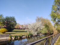 Parco polifunzionale Travel Forum Reviews