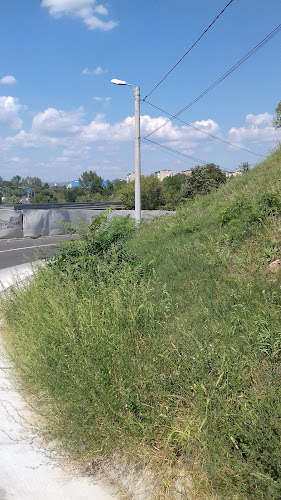 Parcul Aluniș