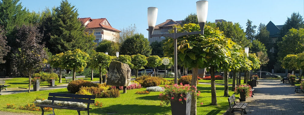Parcul Antonio Copetti Travel Forum Reviews