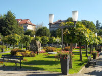 Parcul Antonio Copetti Travel Forum Reviews