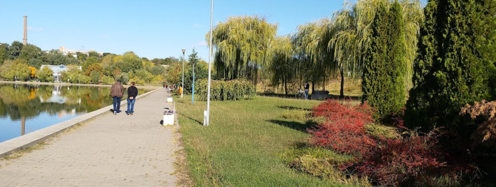 Parcul Ciuperca Travel Forum Reviews