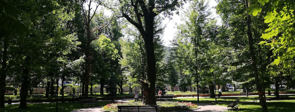 Parcul Municipal „Regele Mihai I” Bistrița Travel Forum Reviews
