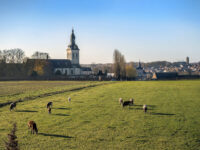 Park Abbey Travel Forum Reviews