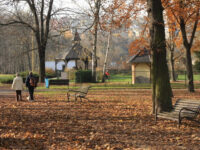 Park Anička Travel Forum Reviews