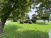 Park Bana Milosavljevića Travel Forum Reviews