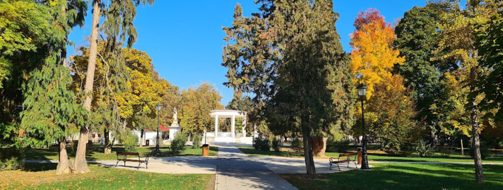 Park Travel Forum Reviews