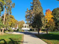 Park Travel Forum Reviews