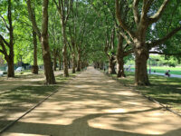 Park Brodowski Travel Forum Reviews