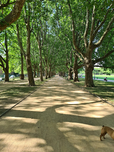 Park Brodowski