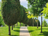 Park Galitskogo Travel Forum Reviews